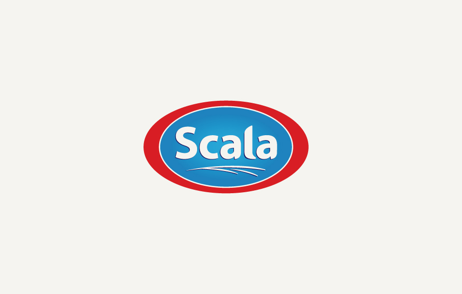 sca_01